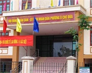 Any District or Commune People's Committee